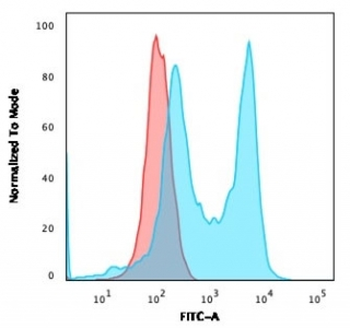 Recombinant CD6 Antibody