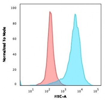 Recombinant CD63 Antibody / LAMP-3
