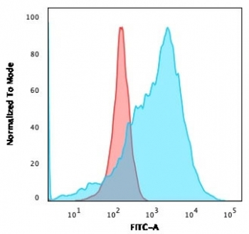 Recombinant GLUT1 Antibody