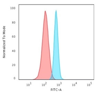 Recombinant Spectrin beta III Antibody / SPTBN2