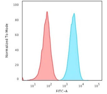 PD-L2 Antibody
