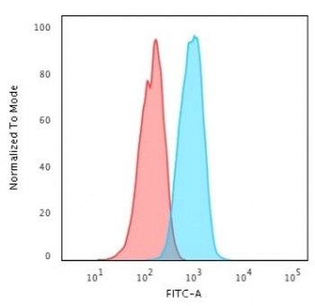 HER-4 Antibody / ERBB4