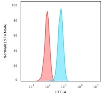 Cytokeratin 14 Antibody / KRT14