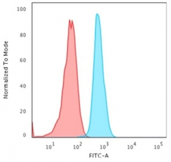 Keratin 15 Antibody / Cytokeratin 15