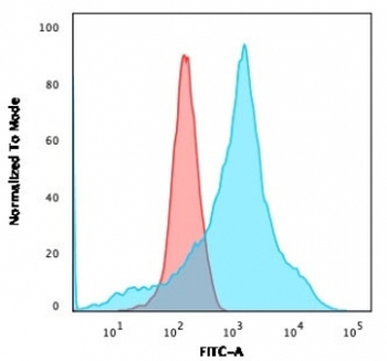 LMO2 Antibody / Rhombotin 2