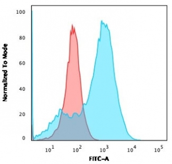 S100A4 Antibody / FSP1