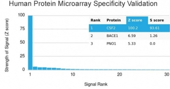 GM-CSF Antibody