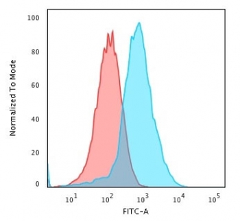 Recombinant GRP94 Antibody / HSP90B1