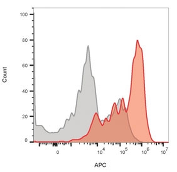 CD3e Antibody