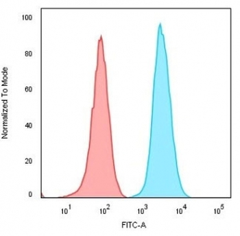 Recombinant CD74 / CL Antibody