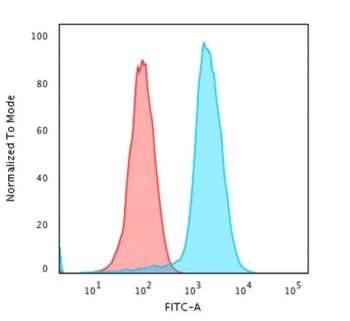 Recombinant Pan-HLA Antibody (DP/DQ/DR)