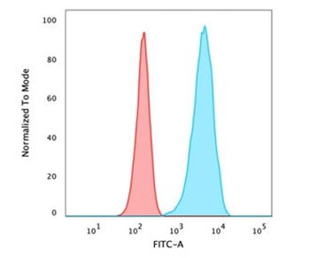 CA9 Antibody / Carbonic Anhydrase IX
