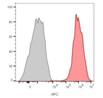 Recombinant CD81 Antibody