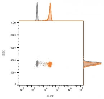 Recombinant CD81 Antibody