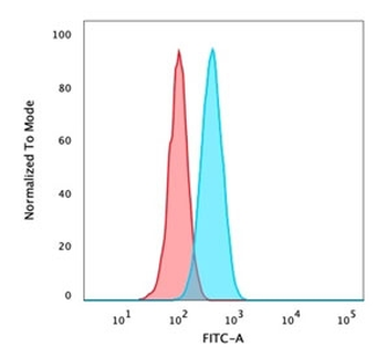 Recombinant p40 Antibody / deltaNp63
