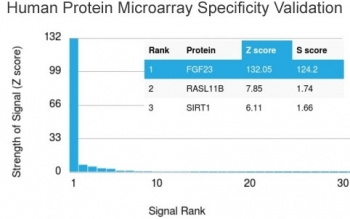 FGF23 Antibody / Fibroblast Growth Factor 23