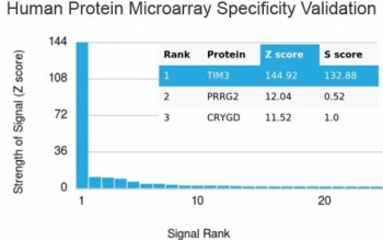 TIM-3 Antibody / HAVCR2