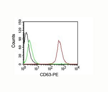 CD63 Antibody / LAMP-3