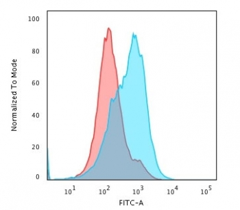 SUMO1 Antibody