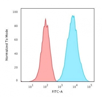 HLA-DRB1 Antibody (MHC II)