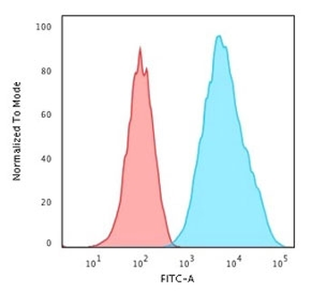 HLA-DRB1 Antibody (MHC II)