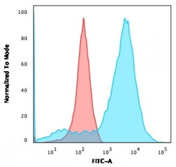 Neurofilament Antibody