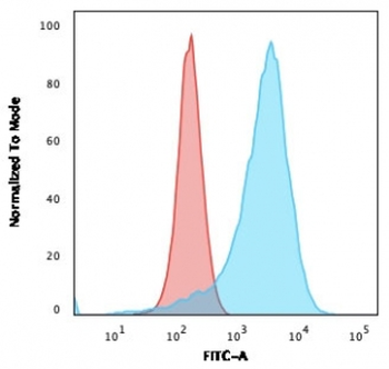 CD43 Antibody