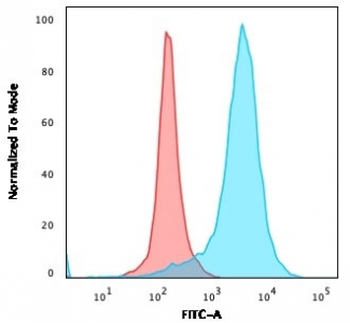 LAMP-3 Antibody / CD63