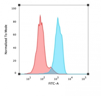 FOXA1 Antibody
