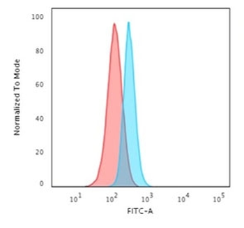 Spectrin beta III Antibody / SPTBN2