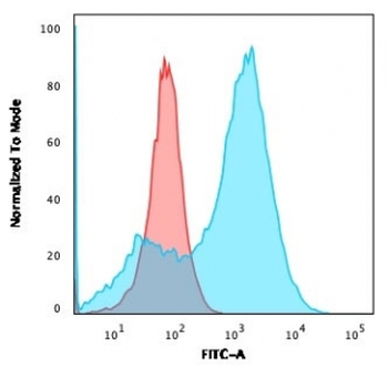 S100A4 Antibody / FSP1