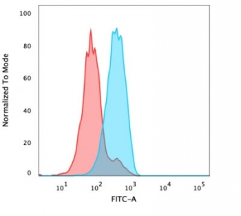 FOXA1 Antibody