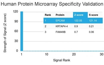 Ep-CAM Antibody