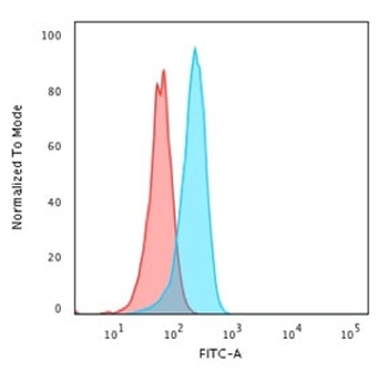 Recombinant p53 Antibody / Rabbit Monoclonal