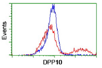 DPP10 Antibody