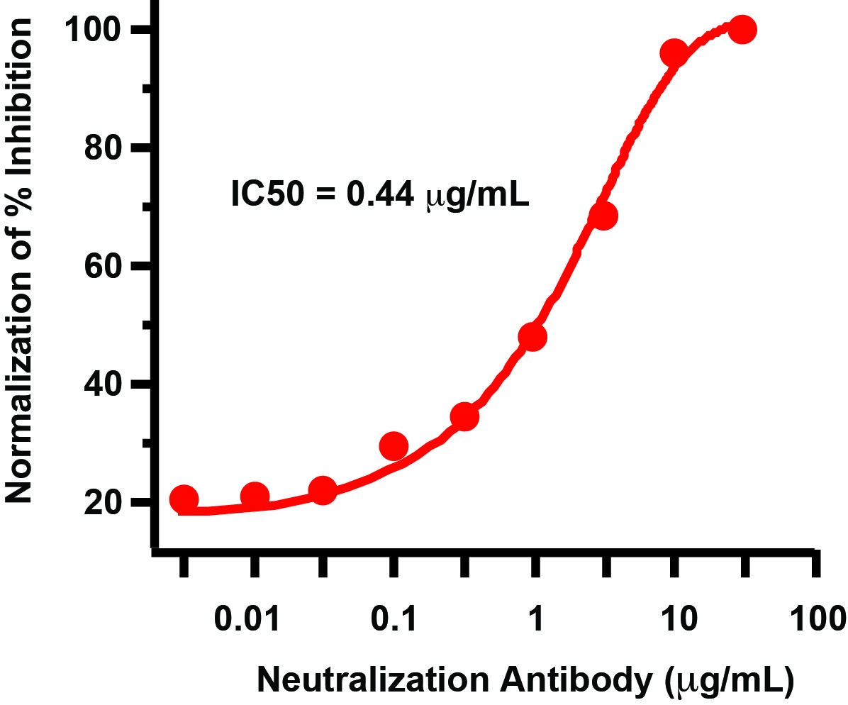 SARS-CoV-2 Omicron BA.2 Variant Pseudovirus