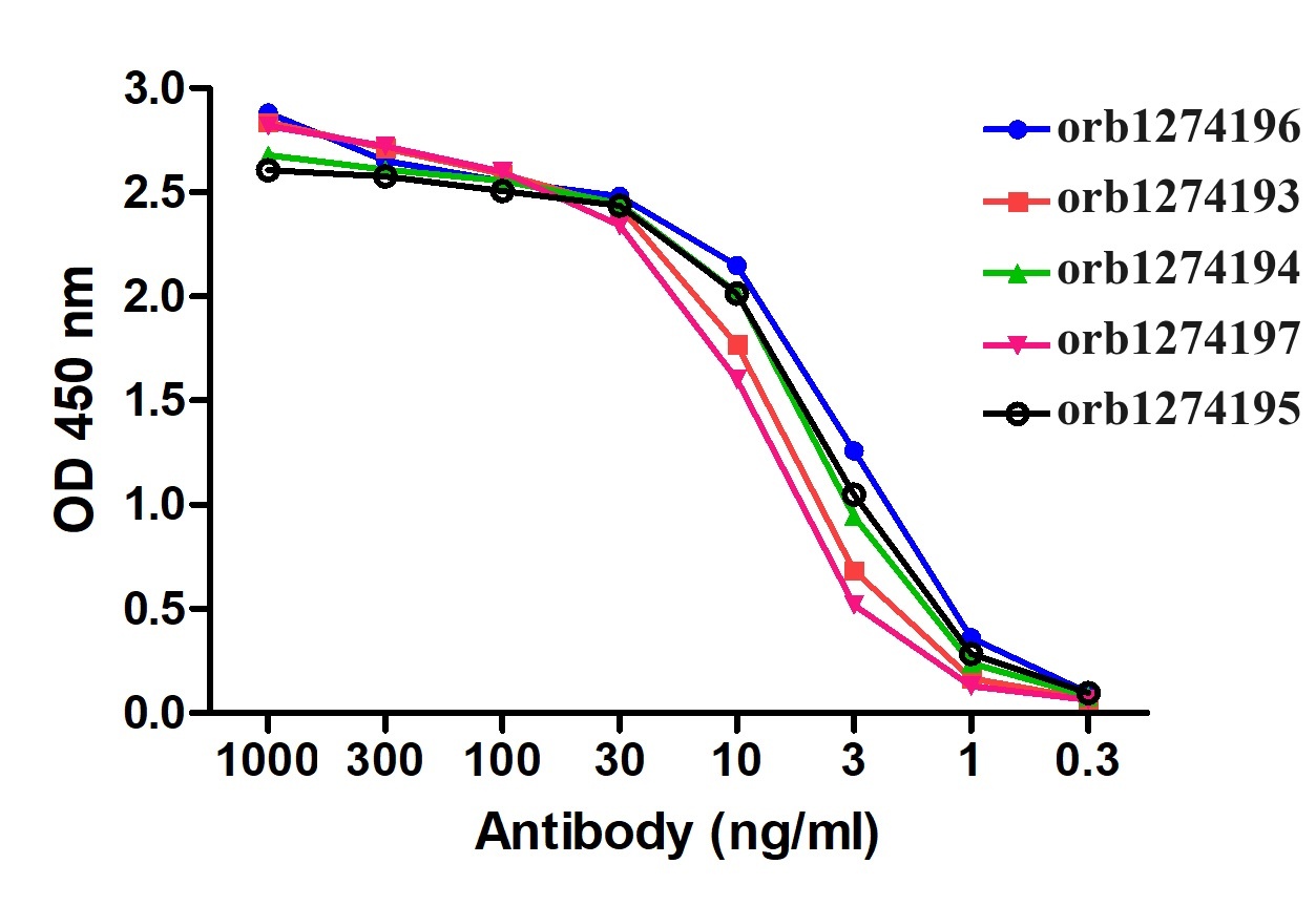 SARS-CoV-2 (COVID-19) S1 RBD Detection Set