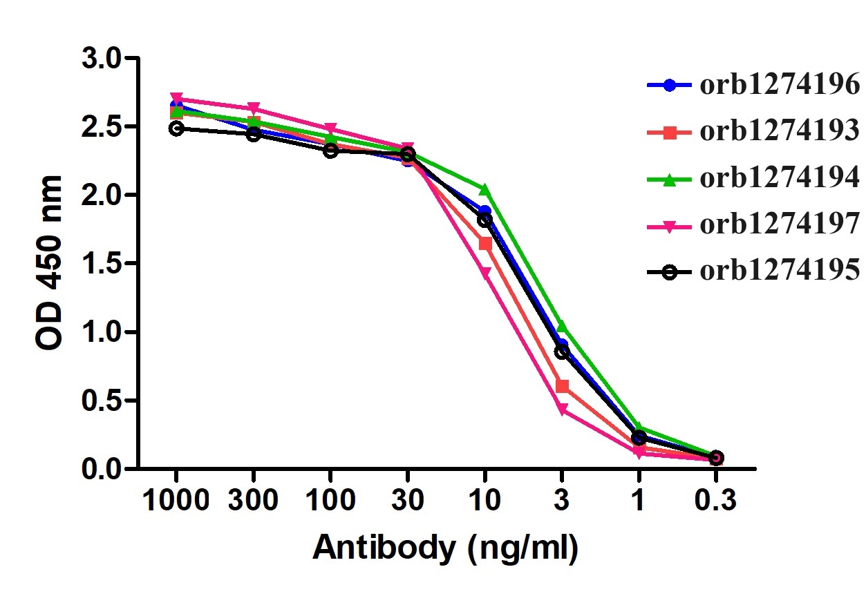 SARS-CoV-2 (COVID-19) S1 RBD Detection Set