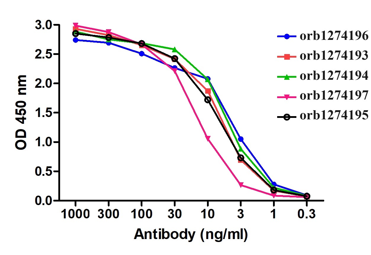SARS-CoV-2 (COVID-19) S1 RBD Detection Set