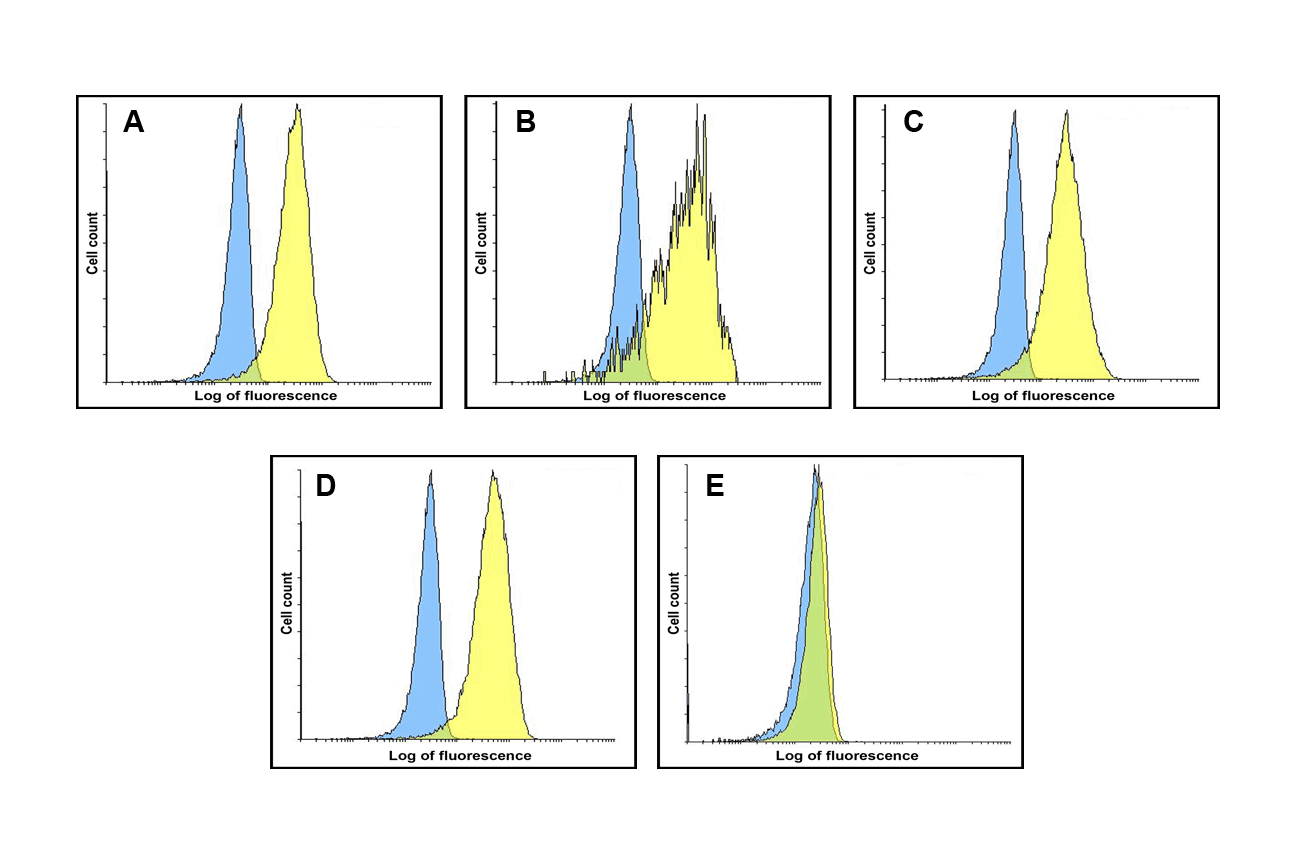 VISTA Detection Set (Risk Free)