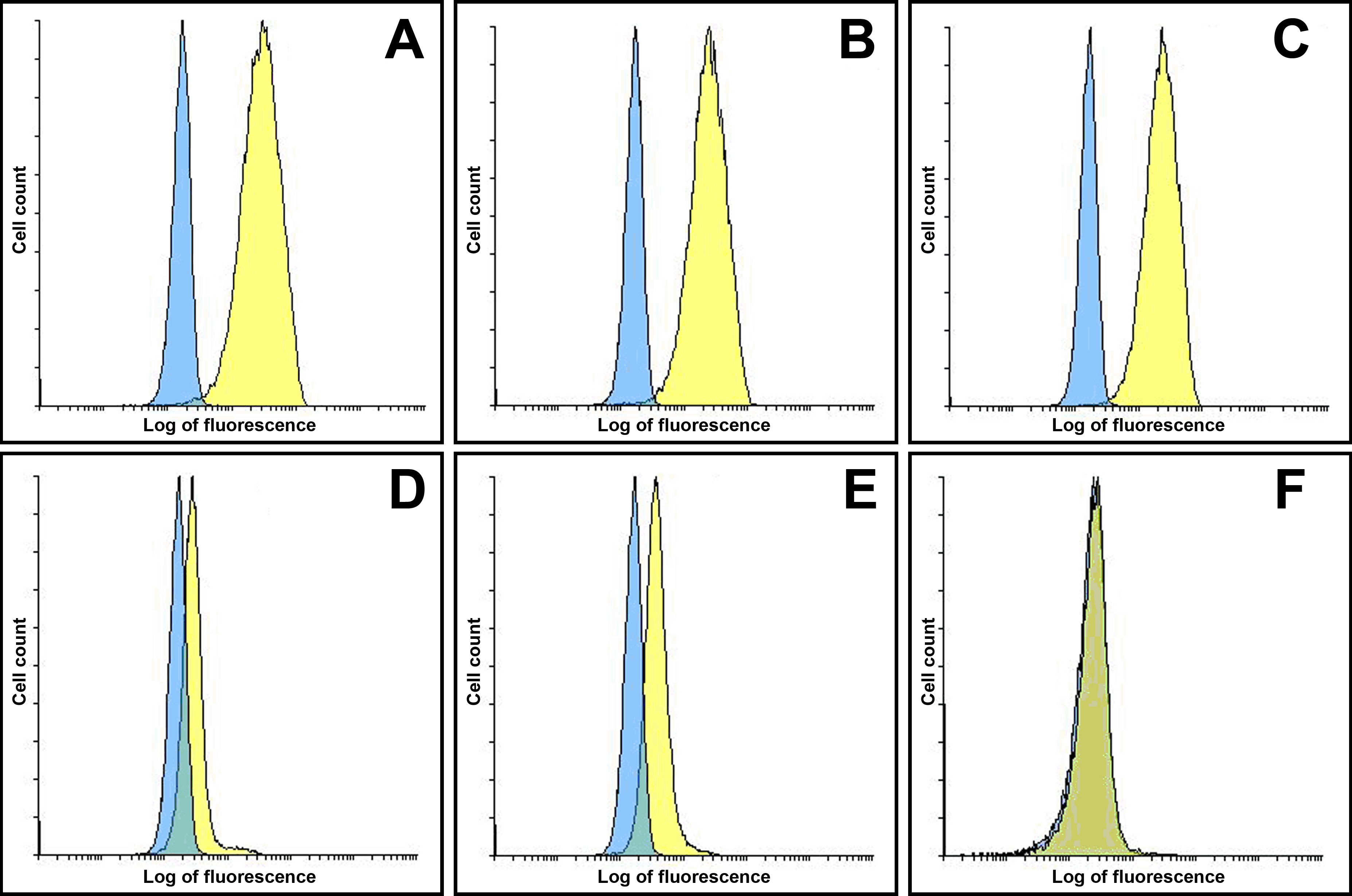 CD80 Detection Set (Risk Free)