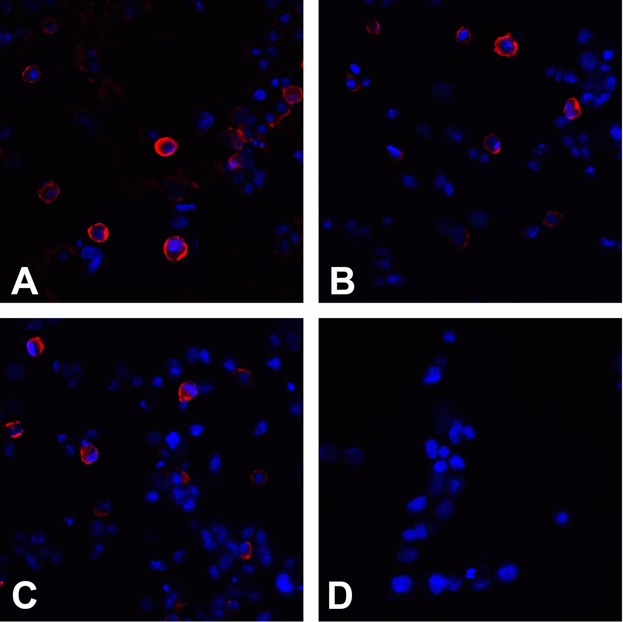 CTLA4 Detection Set (Risk Free)