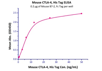 B7-2 Recombinant Protein