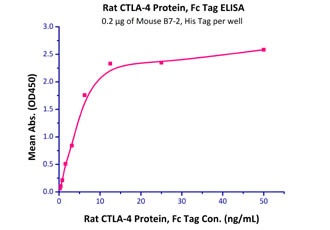 B7-2 Recombinant Protein