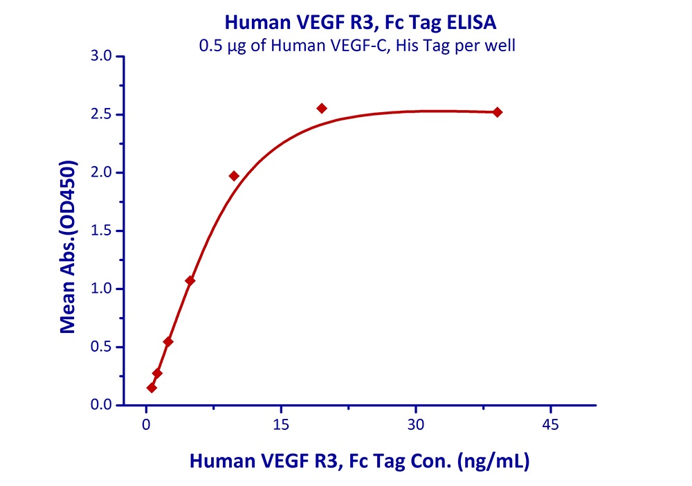 VEGF R3 Recombinant Protein