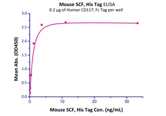 CD117 Recombinant Protein