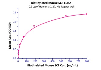 CD117 Recombinant Protein