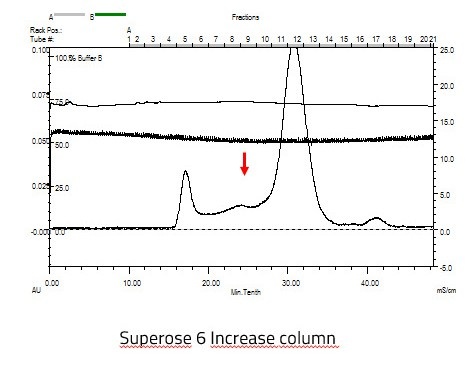 SARS CoV-2 full length spike protein nanodisc complex