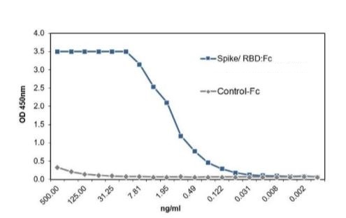 SARS-CoV-2 (COVID-19) Spike S1 Recombinant Protein