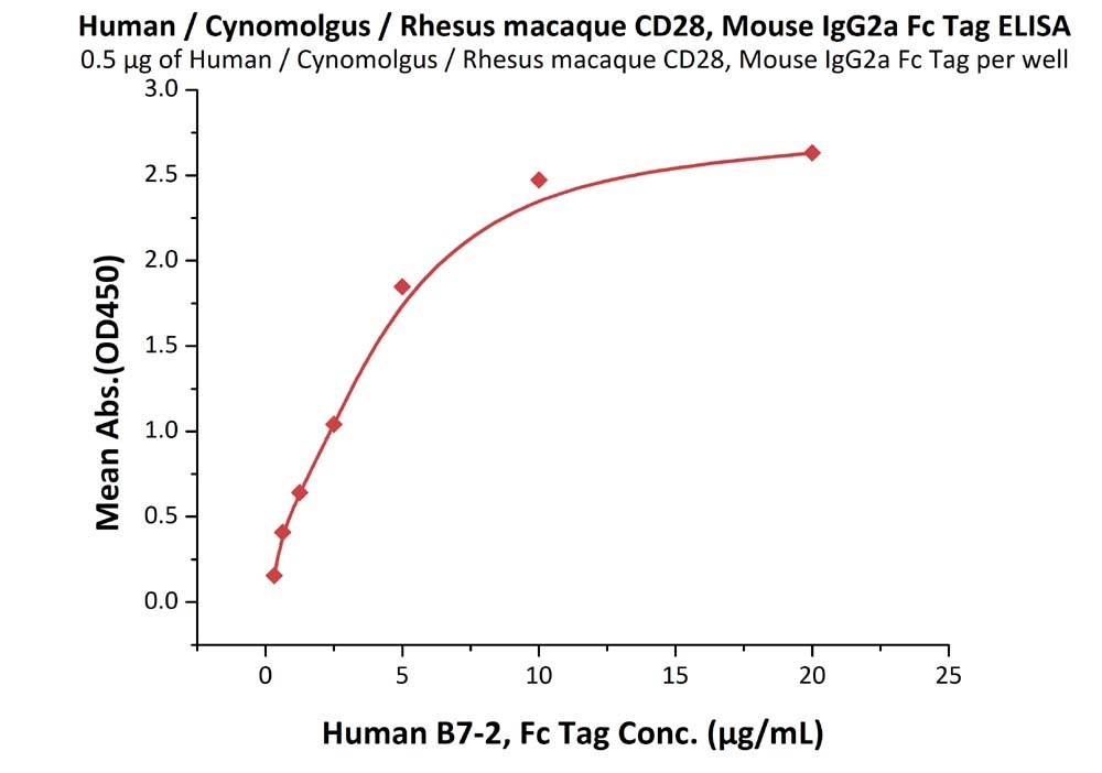 Rhesus macaque CD28 Recombinant Protein